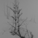 Granucci Piece